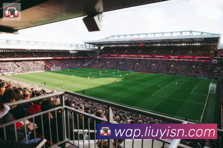 博鱼官网登录入口荣誉