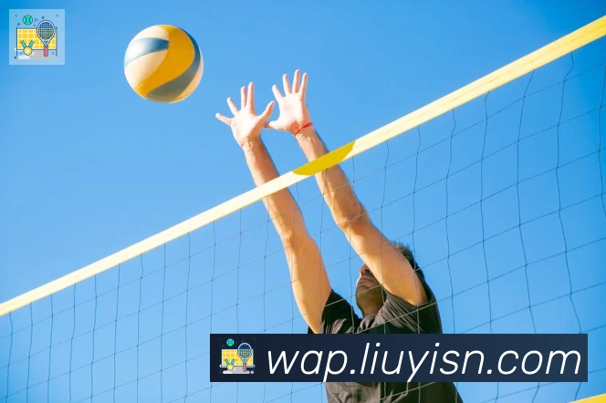 博鱼官网登录入口荣誉