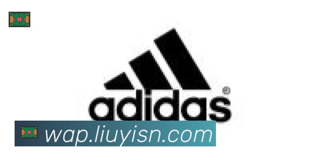 博鱼官网登录入口合作伙伴